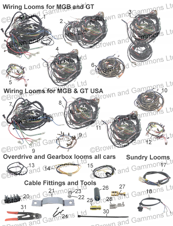 Image for Wiring looms and fittings